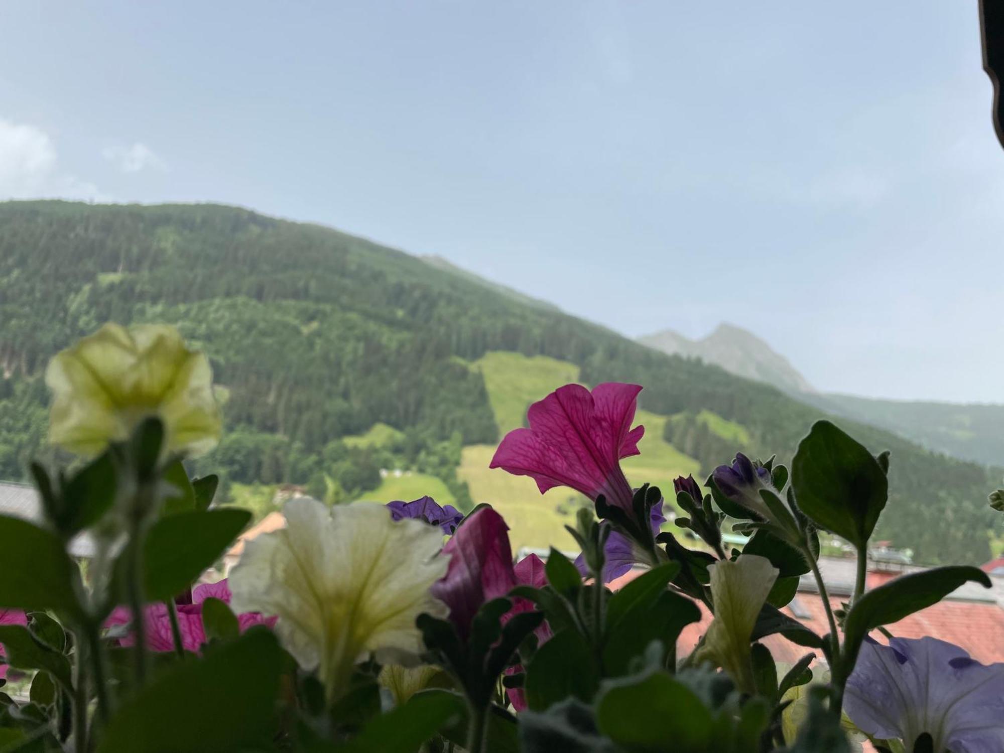 Wengerbauer Villa Dorfgastein Eksteriør bilde